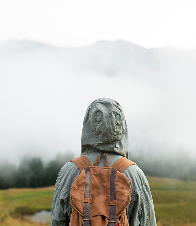 Что такое энзимы?