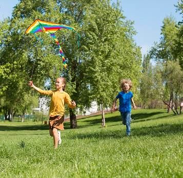 Что такое энзимы?